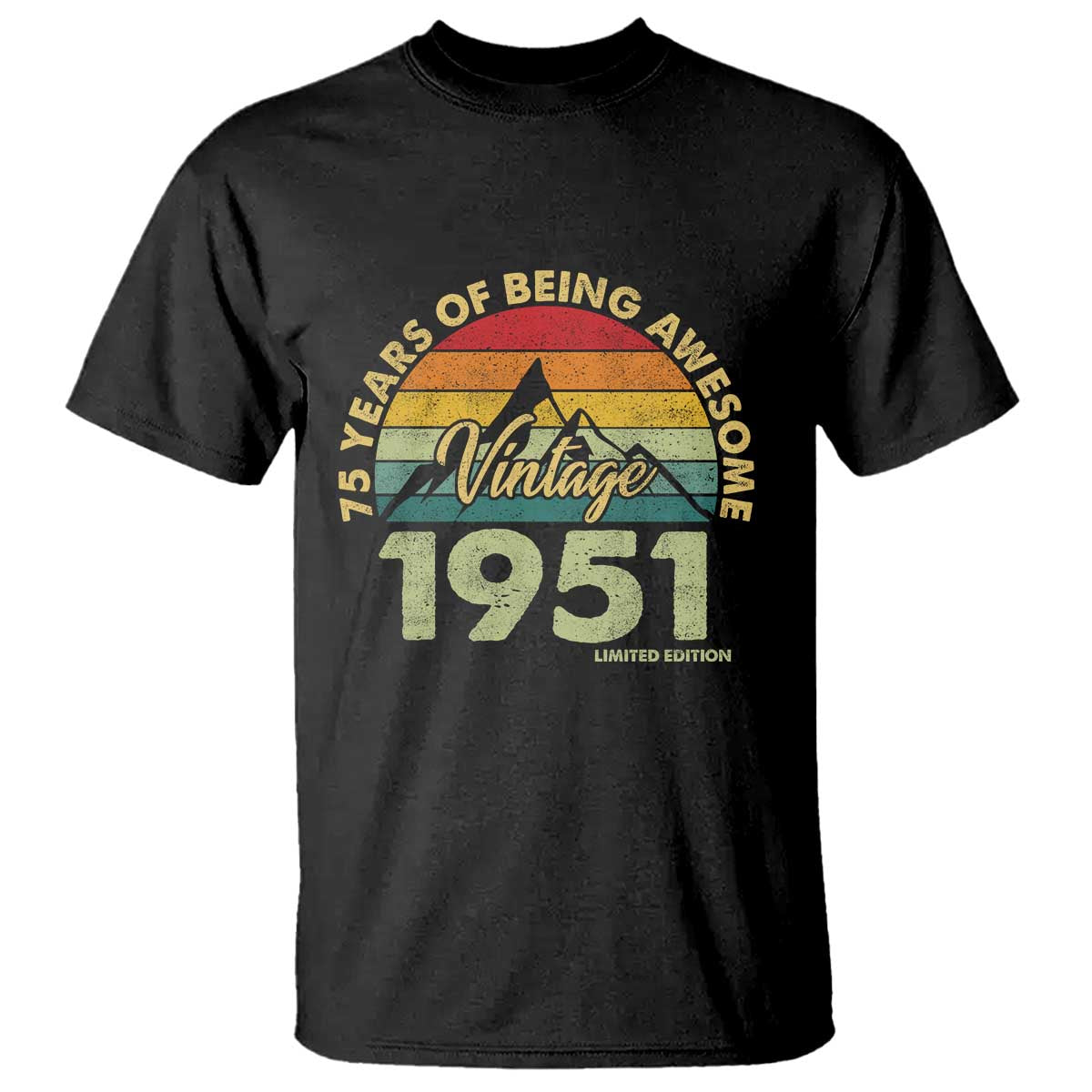 75th Birthday T Shirt Vintage 1951 Limited Edition 75 Year Old Gift