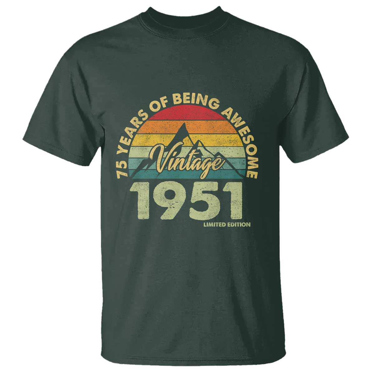 75th Birthday T Shirt Vintage 1951 Limited Edition 75 Year Old Gift