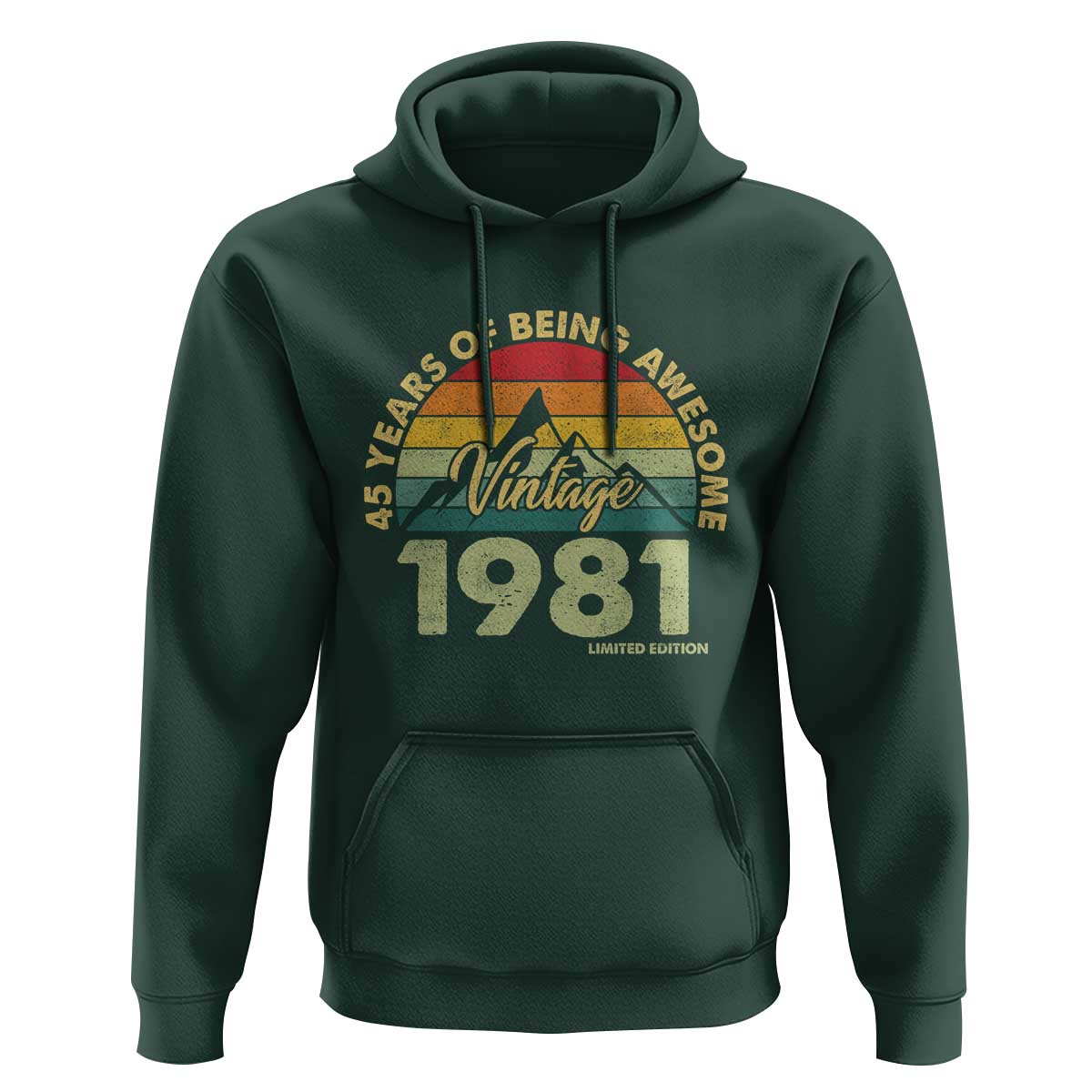 45th Birthday Hoodie Vintage 1981 Limited Edition 45 Year Old Gift