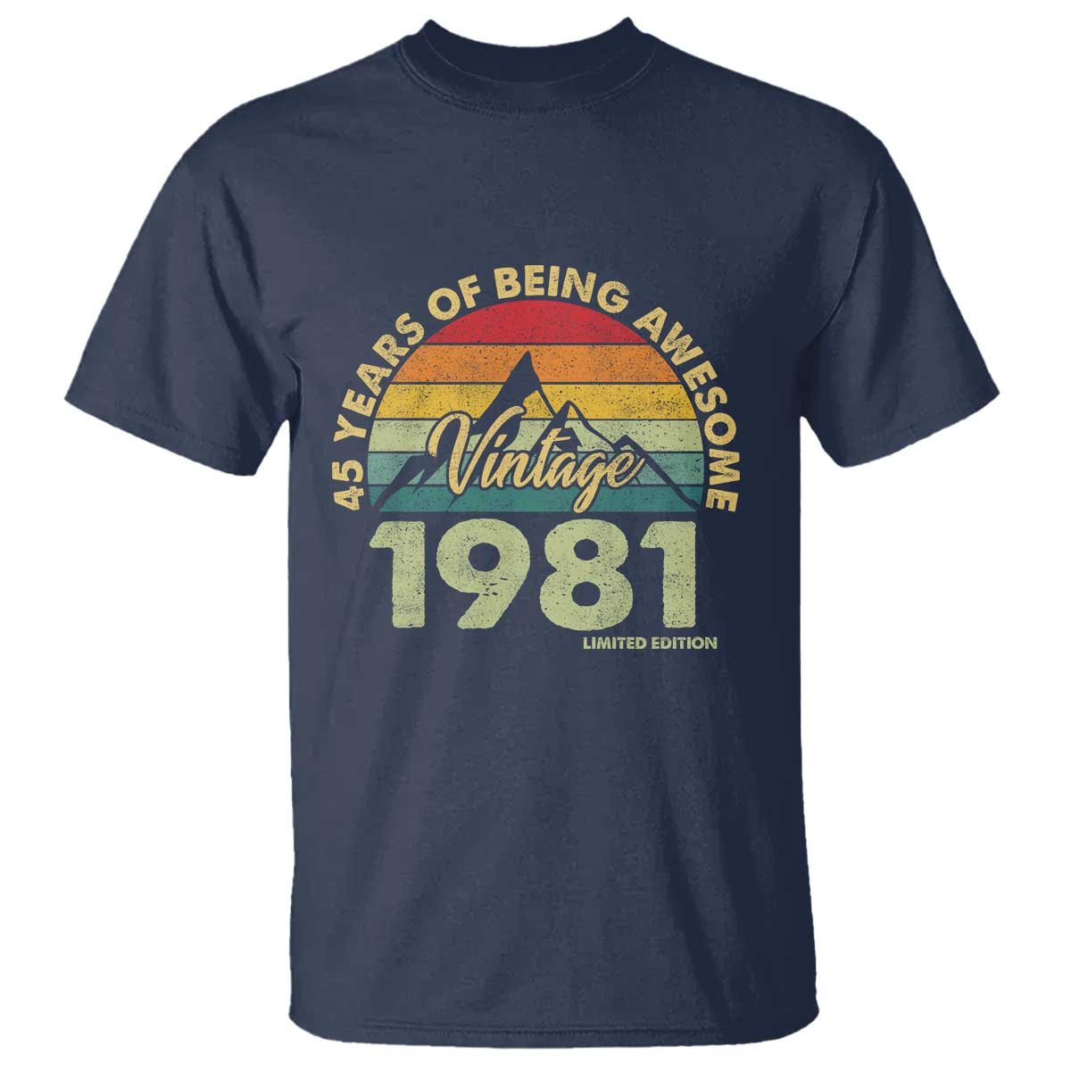 45th Birthday T Shirt Vintage 1981 Limited Edition 45 Year Old Gift