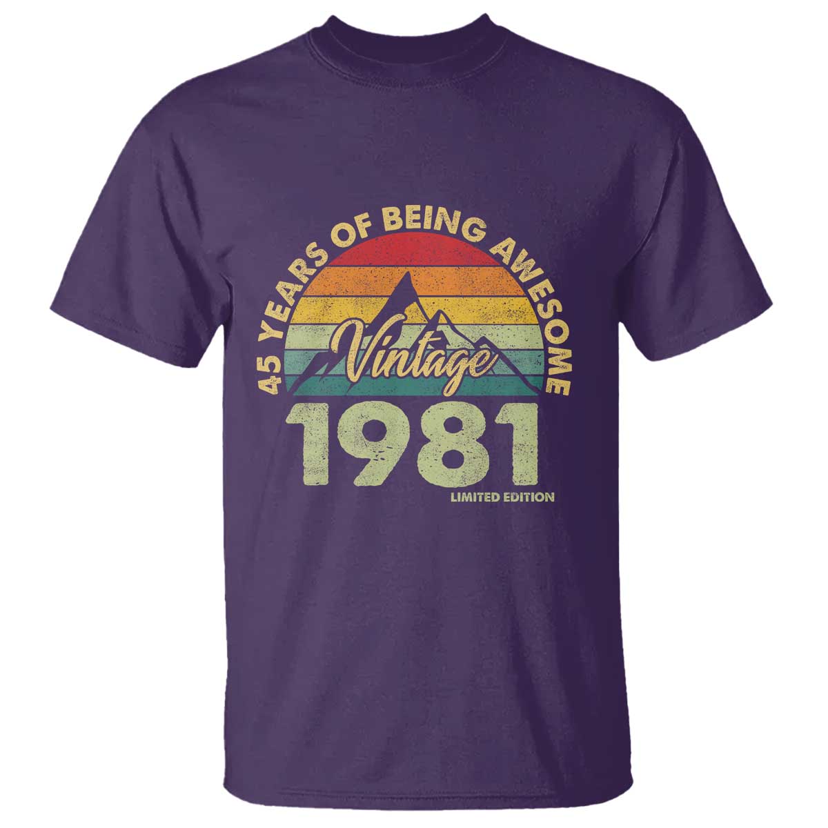 45th Birthday T Shirt Vintage 1981 Limited Edition 45 Year Old Gift