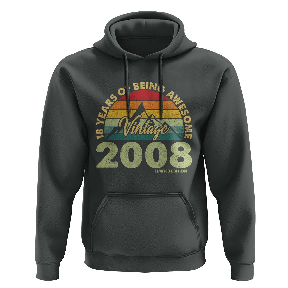 18th Birthday Hoodie Vintage 2008 Limited Edition 18 Year Old Gift