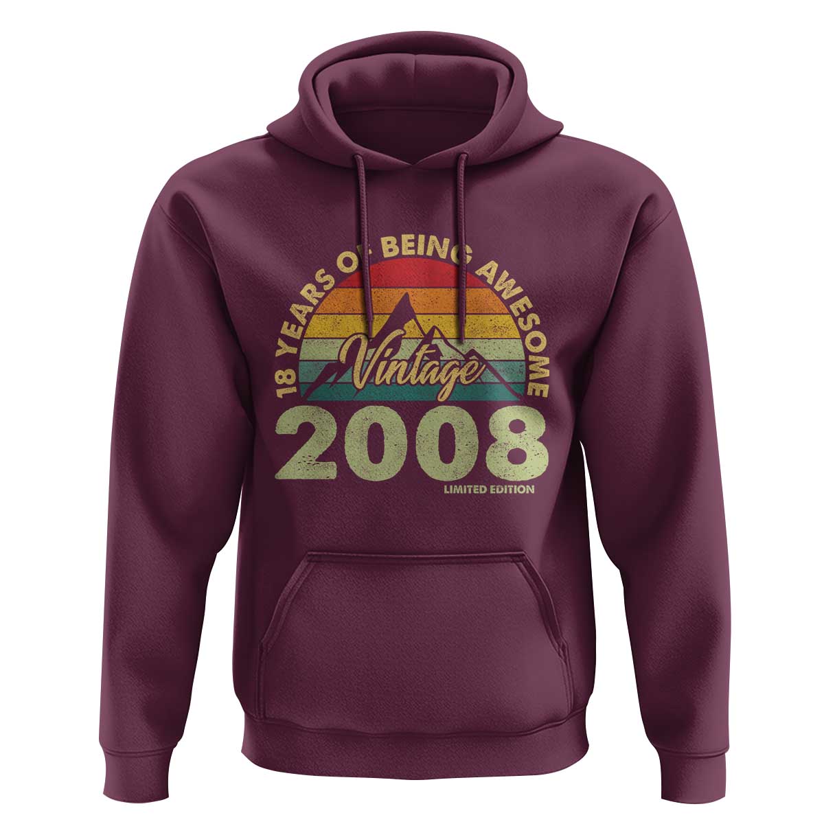 18th Birthday Hoodie Vintage 2008 Limited Edition 18 Year Old Gift
