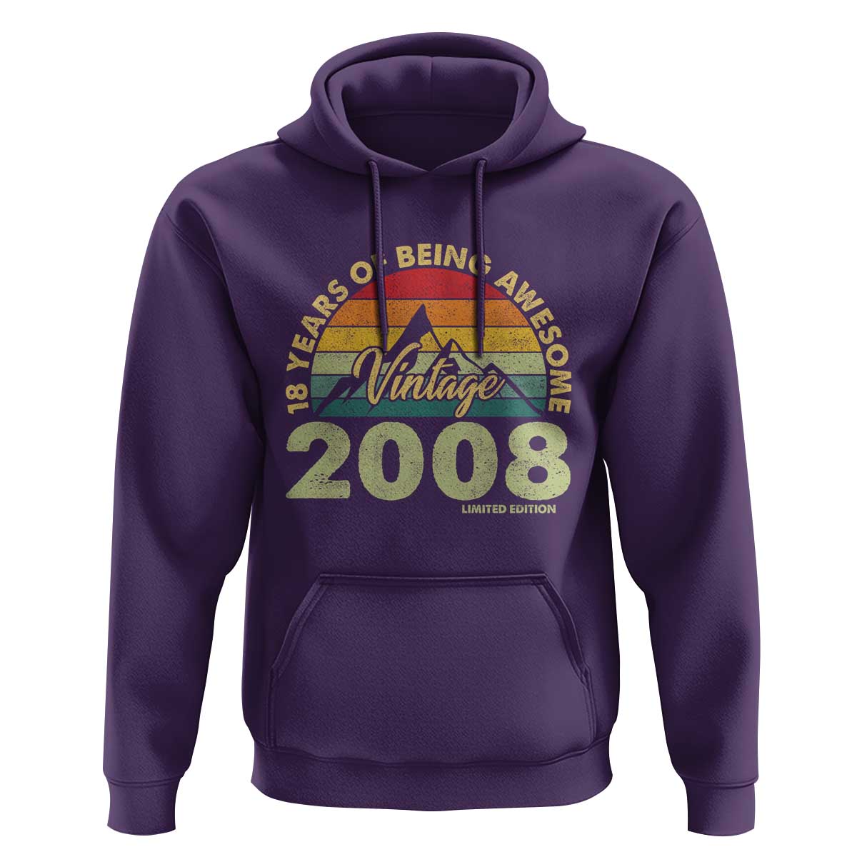 18th Birthday Hoodie Vintage 2008 Limited Edition 18 Year Old Gift