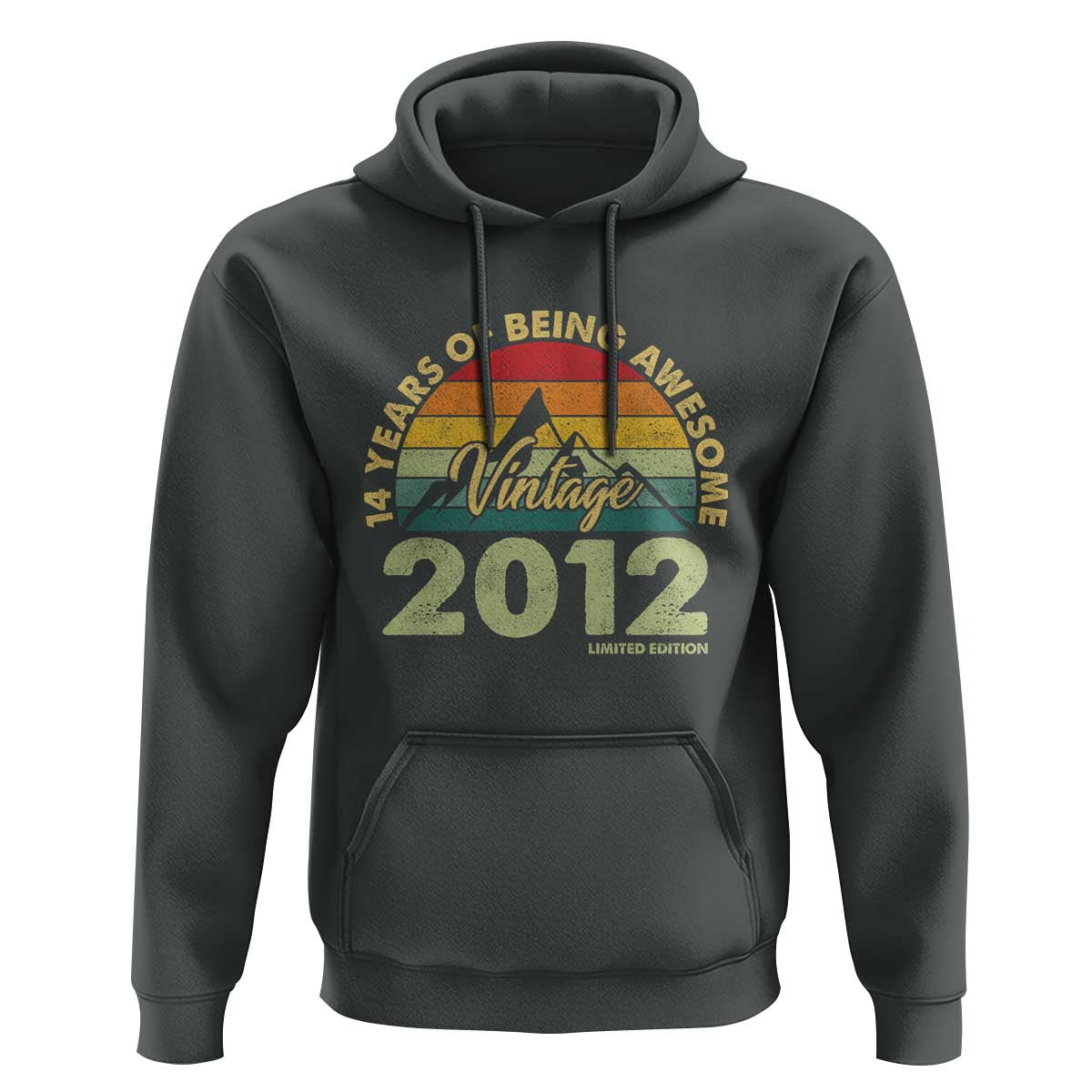 14th Birthday Hoodie Vintage 2012 Limited Edition 14 Year Old Gift