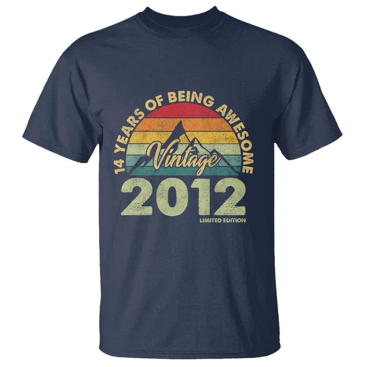14th Birthday T Shirt Vintage 2012 Limited Edition 14 Year Old Gift