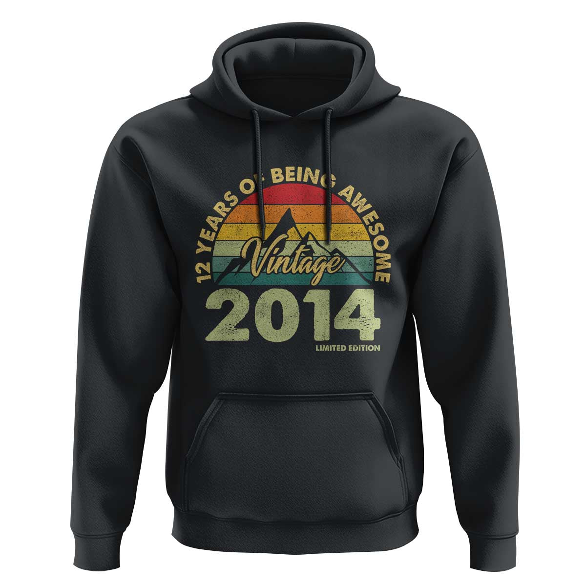 12th Birthday Hoodie Vintage 2014 Limited Edition 12 Year Old Gift