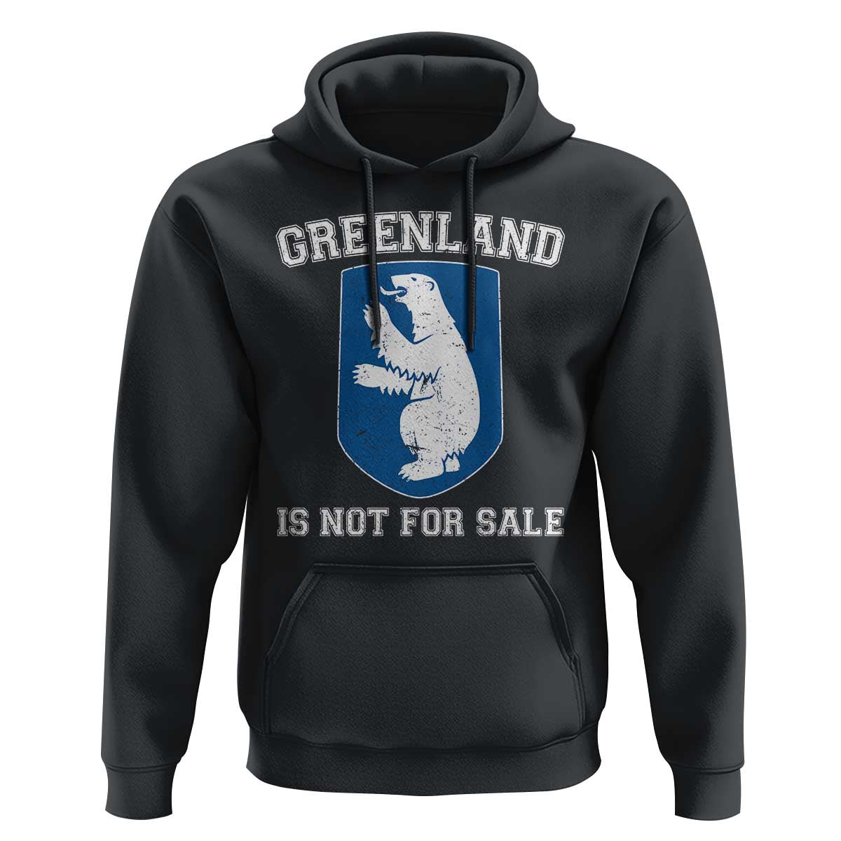 Greenland Is Not For Sale Hoodie Polar Bear Vintage Political Protest