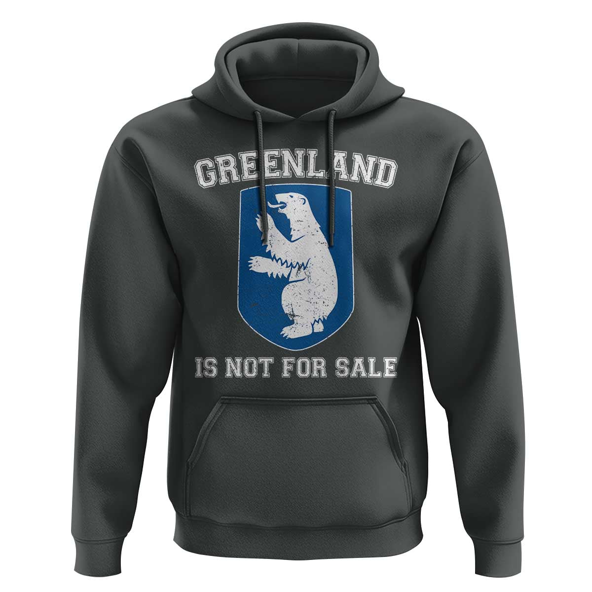 Greenland Is Not For Sale Hoodie Polar Bear Vintage Political Protest