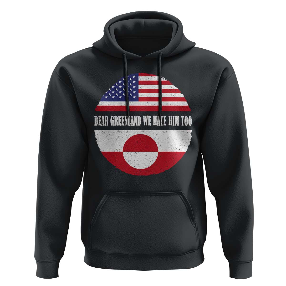 Dear Greenland We Hate Him Too Hoodie Political Protest Greenlander American Flag