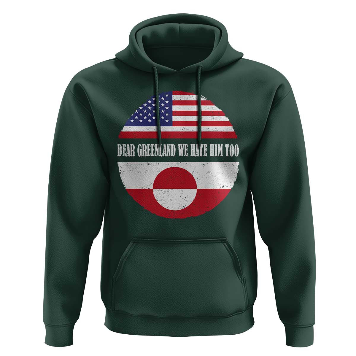 Dear Greenland We Hate Him Too Hoodie Political Protest Greenlander American Flag