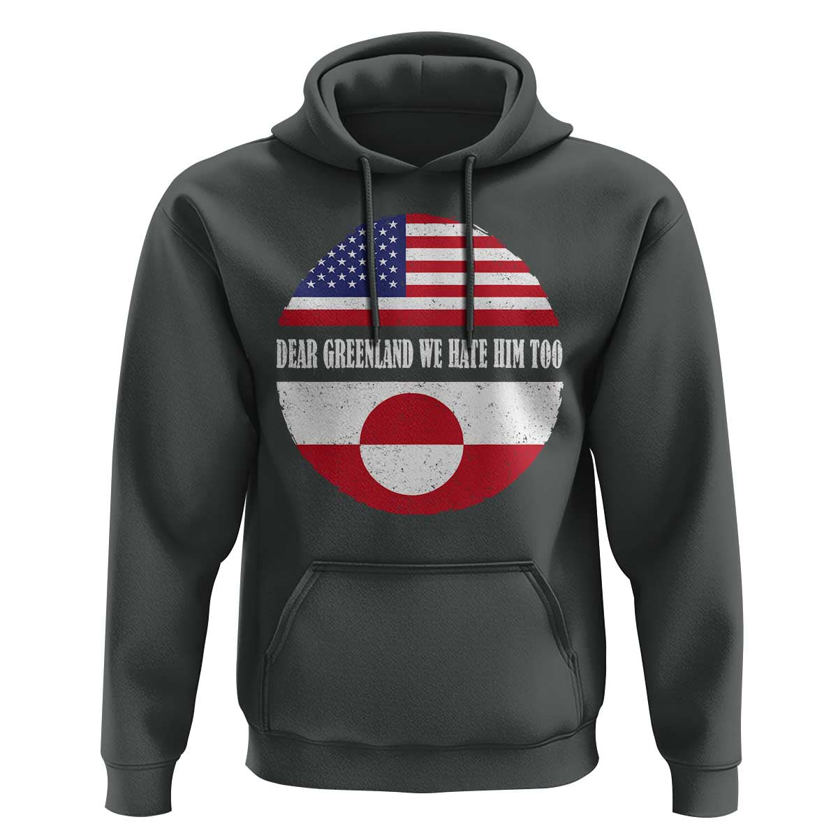 Dear Greenland We Hate Him Too Hoodie Political Protest Greenlander American Flag