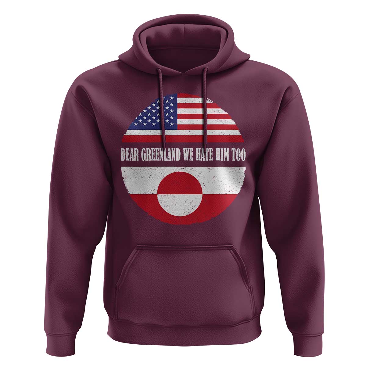 Dear Greenland We Hate Him Too Hoodie Political Protest Greenlander American Flag