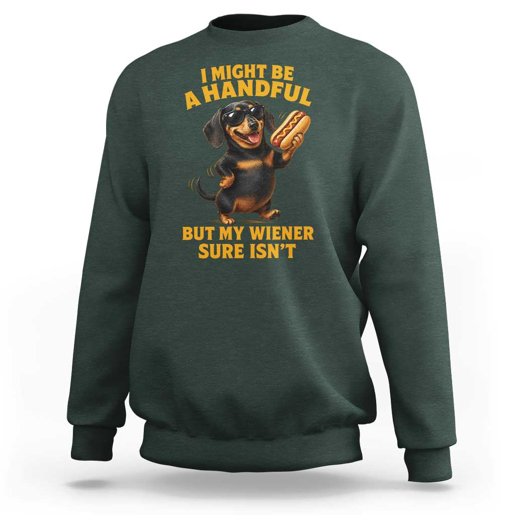 Funny Embarrassing Dachshund Sweatshirt Wiener Hot Dog Pun Crude Cringey Inappropriate Humor