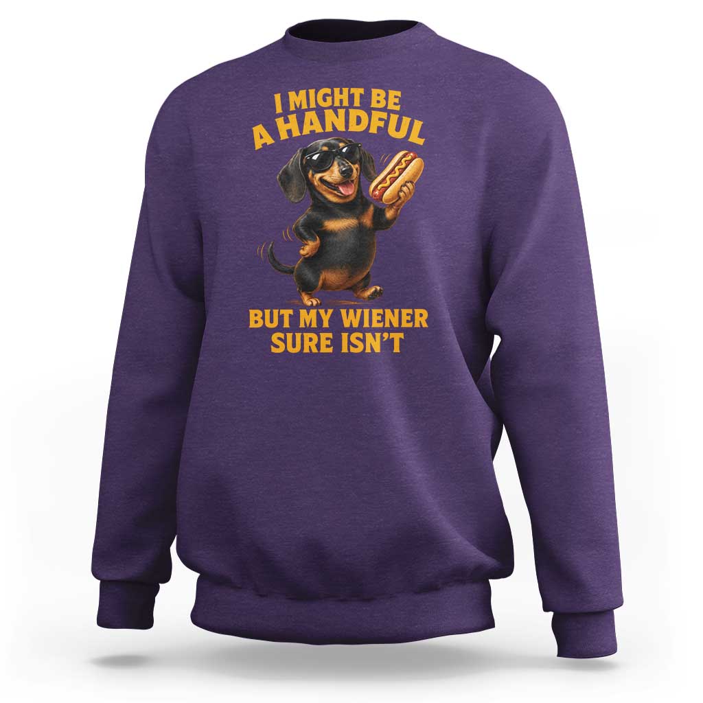 Funny Embarrassing Dachshund Sweatshirt Wiener Hot Dog Pun Crude Cringey Inappropriate Humor