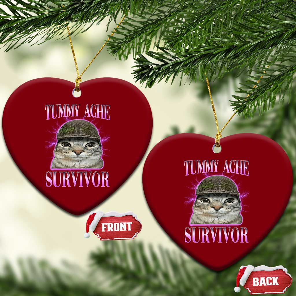 Tummy Ache Survivor Cat Meme Ceramic Ornament Funny Trending Oddly Specific Brainrot Memes