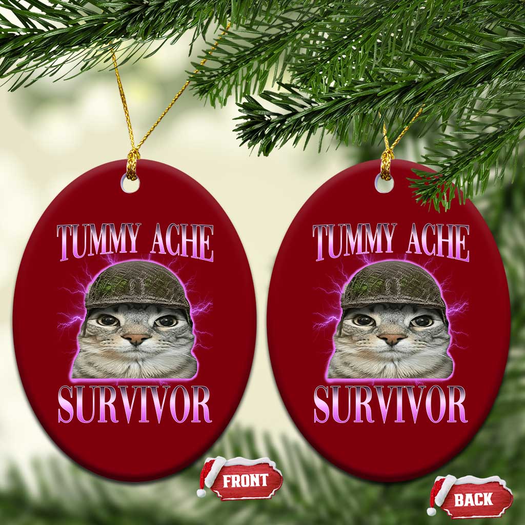 Tummy Ache Survivor Cat Meme Ceramic Ornament Funny Trending Oddly Specific Brainrot Memes
