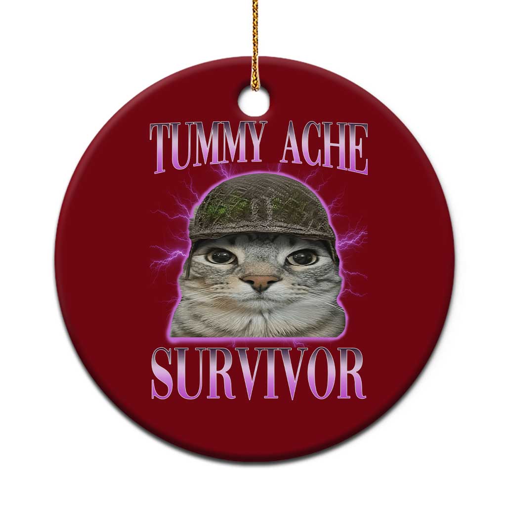 Tummy Ache Survivor Cat Meme Ceramic Ornament Funny Trending Oddly Specific Brainrot Memes