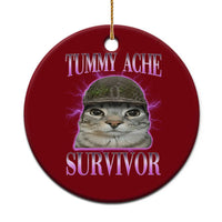 Tummy Ache Survivor Cat Meme Ceramic Ornament Funny Trending Oddly Specific Brainrot Memes