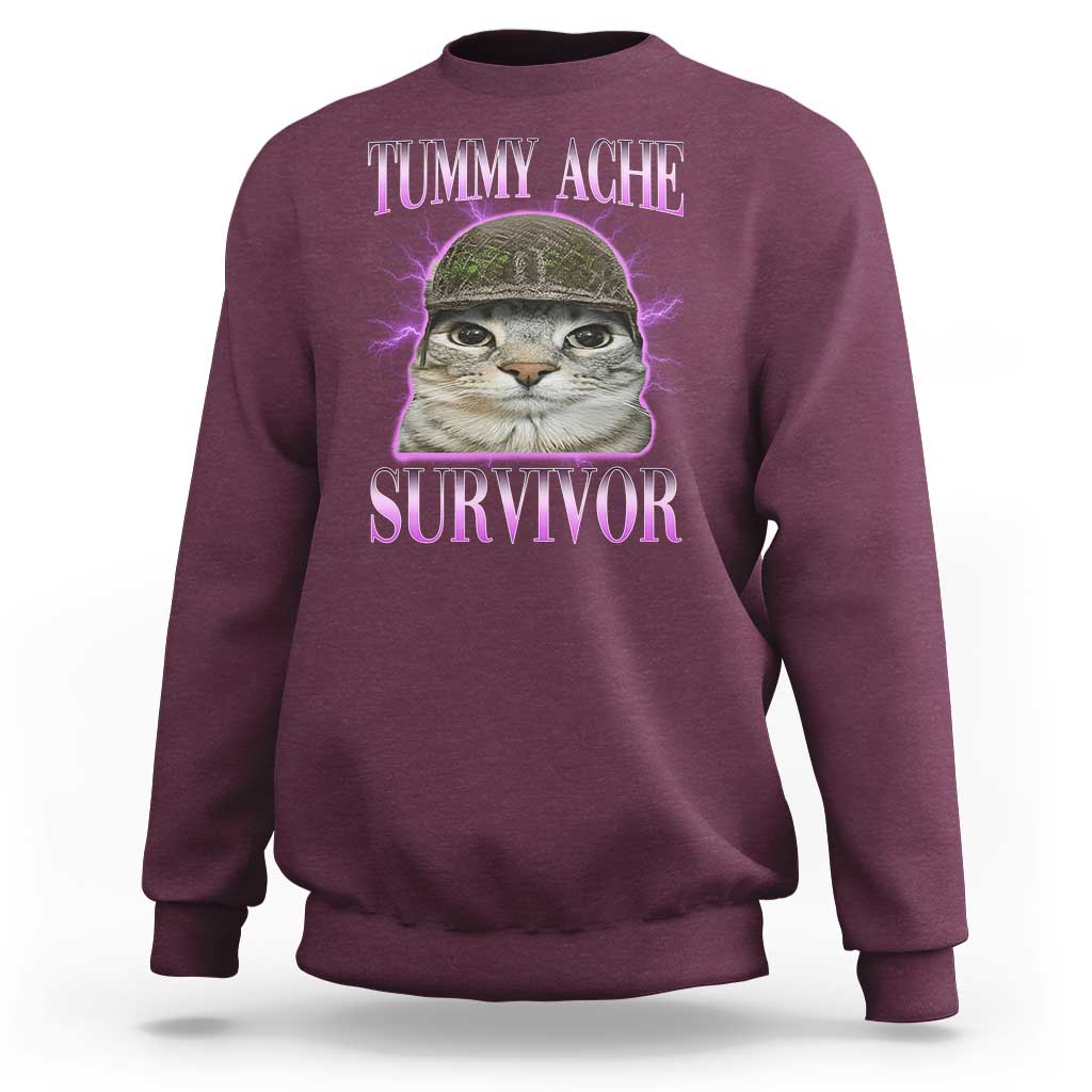 Tummy Ache Survivor Cat Meme Sweatshirt Funny Trending Oddly Specific Brainrot Memes