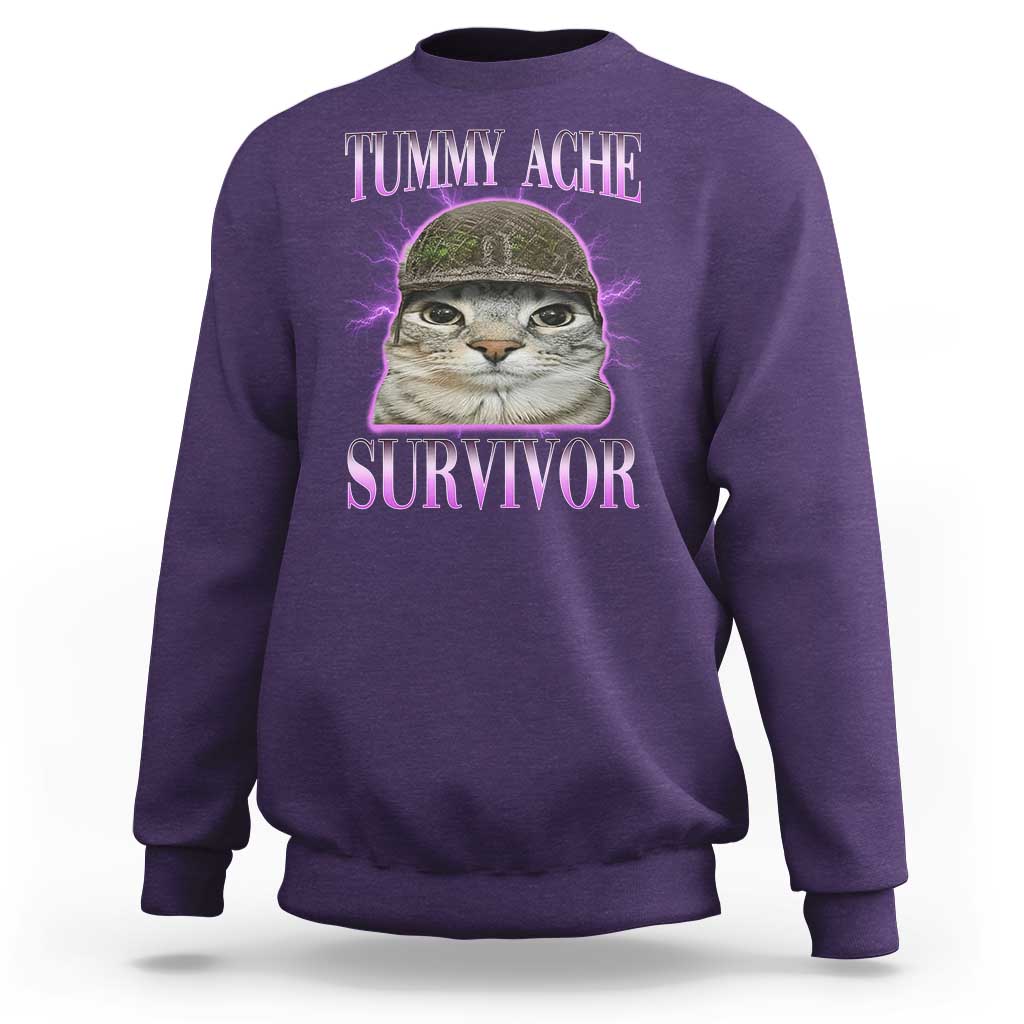 Tummy Ache Survivor Cat Meme Sweatshirt Funny Trending Oddly Specific Brainrot Memes