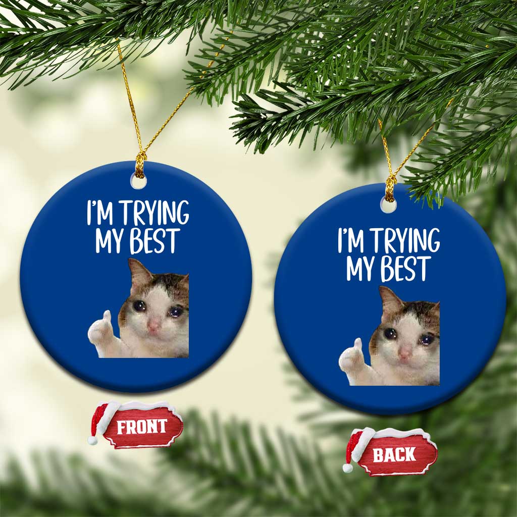 Im Trying My Best Funny Crying Cat Meme Ceramic Ornament - Wonder Print Shop