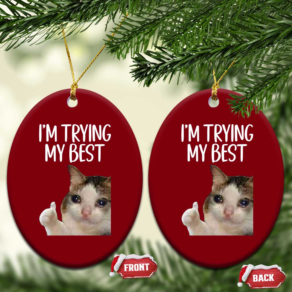 Im Trying My Best Funny Crying Cat Meme Ceramic Ornament - Wonder Print Shop