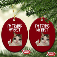 Im Trying My Best Funny Crying Cat Meme Ceramic Ornament - Wonder Print Shop