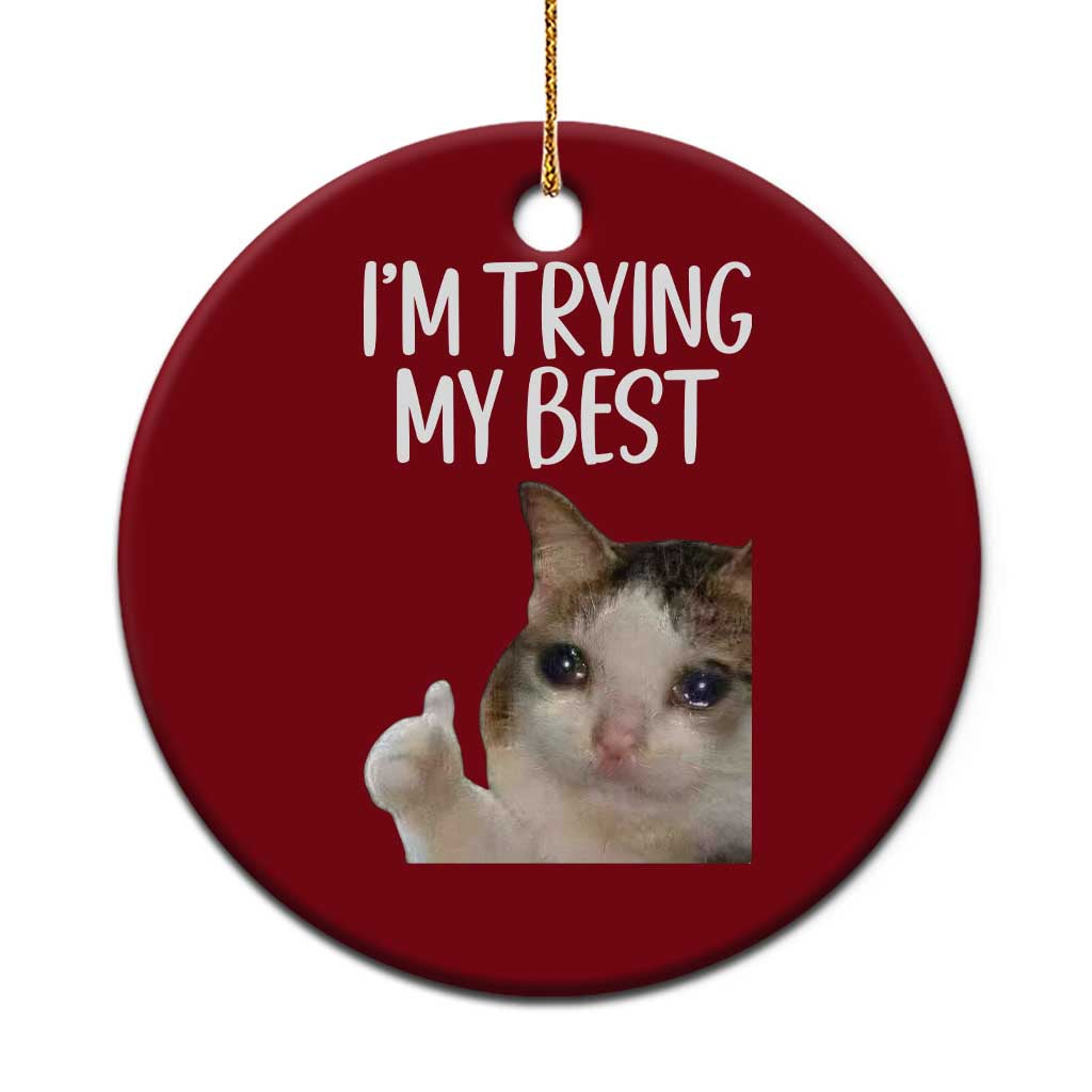 Im Trying My Best Funny Crying Cat Meme Ceramic Ornament - Wonder Print Shop