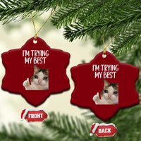 Im Trying My Best Funny Crying Cat Meme Ceramic Ornament - Wonder Print Shop