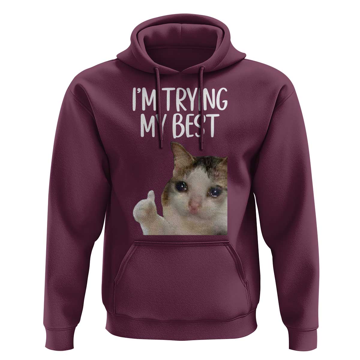 Im Trying My Best Funny Crying Cat Meme Hoodie - Wonder Print Shop