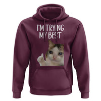 Im Trying My Best Funny Crying Cat Meme Hoodie - Wonder Print Shop