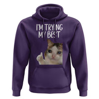 Im Trying My Best Funny Crying Cat Meme Hoodie - Wonder Print Shop