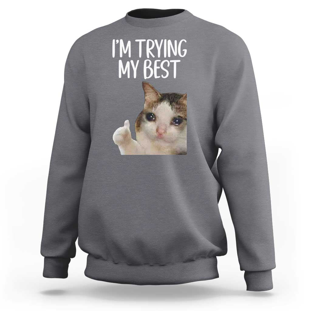 Im Trying My Best Funny Crying Cat Meme Sweatshirt - Wonder Print Shop