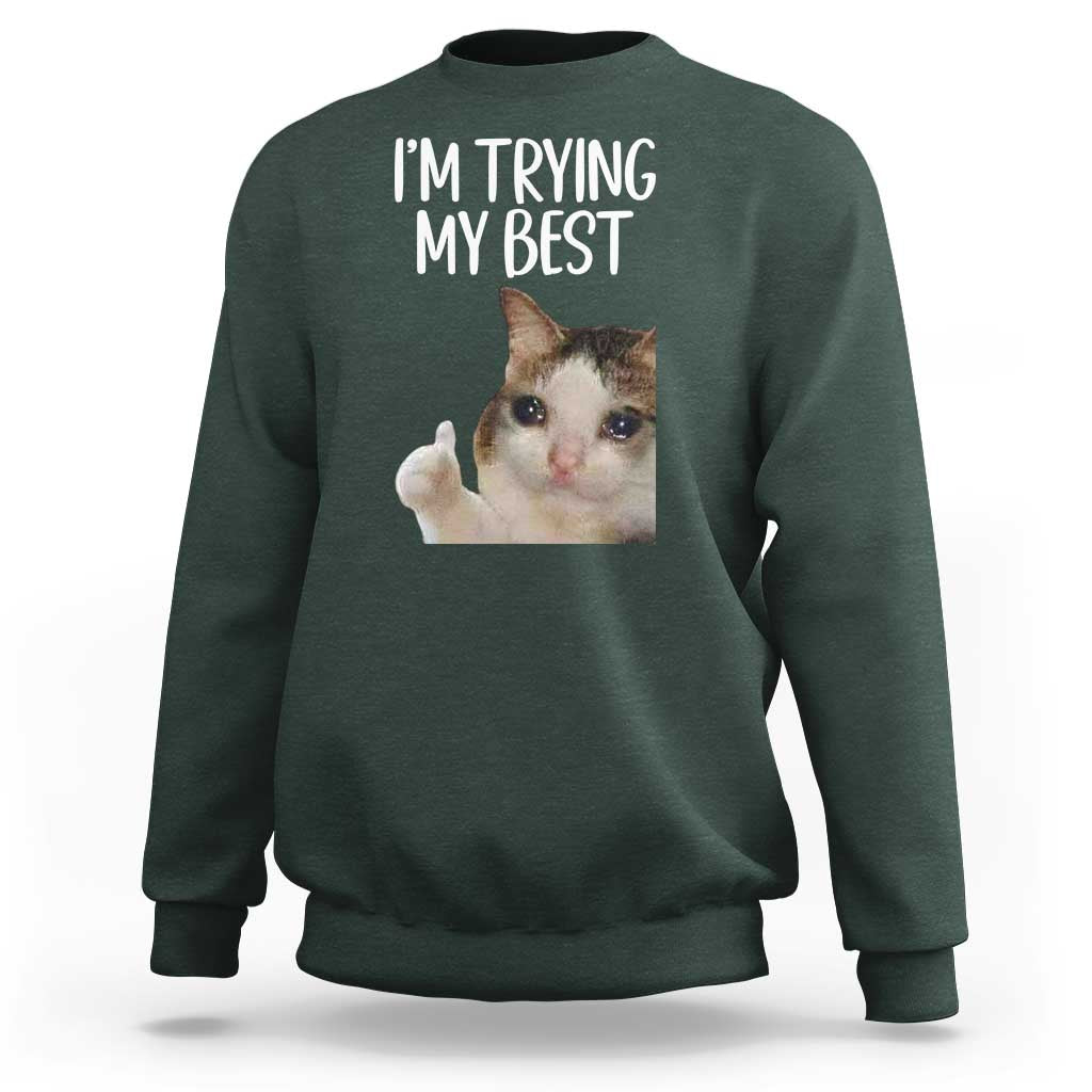 Im Trying My Best Funny Crying Cat Meme Sweatshirt - Wonder Print Shop