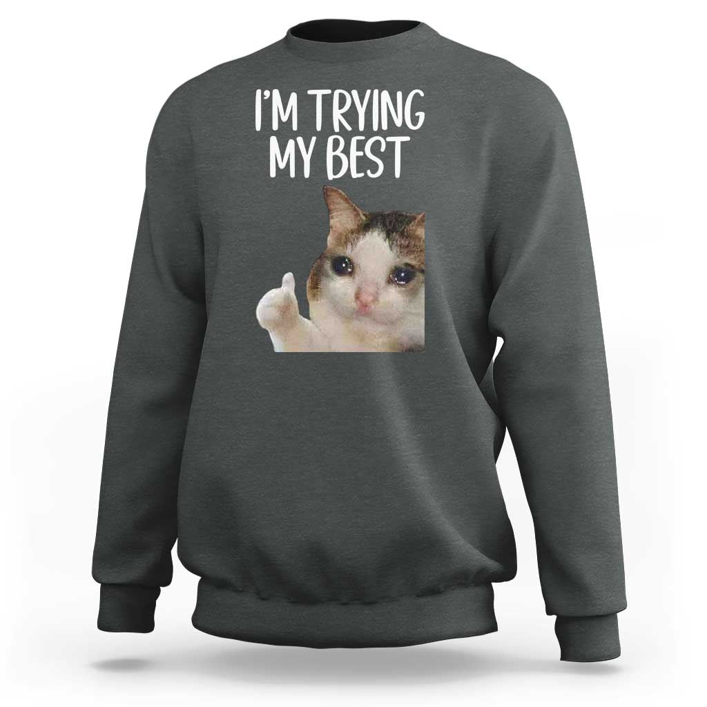 Im Trying My Best Funny Crying Cat Meme Sweatshirt - Wonder Print Shop