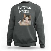 Im Trying My Best Funny Crying Cat Meme Sweatshirt - Wonder Print Shop