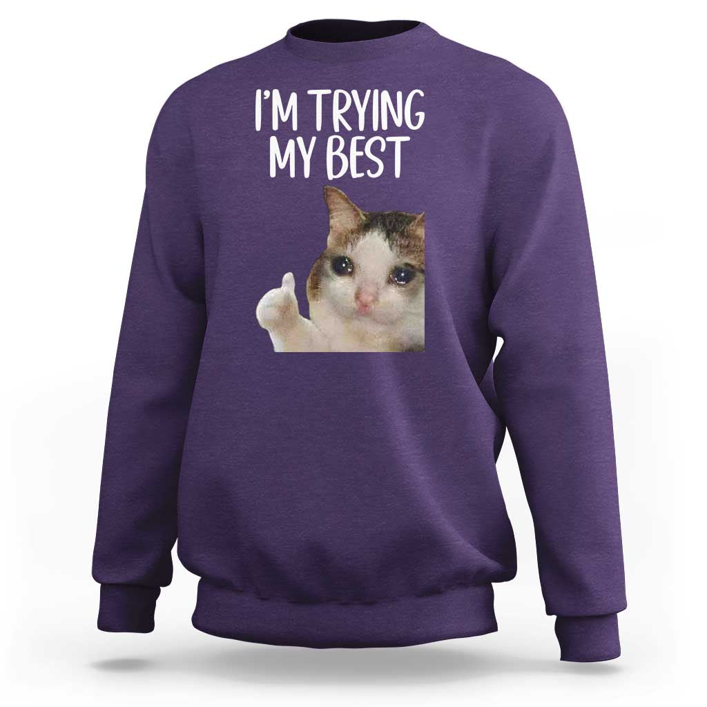 Im Trying My Best Funny Crying Cat Meme Sweatshirt - Wonder Print Shop