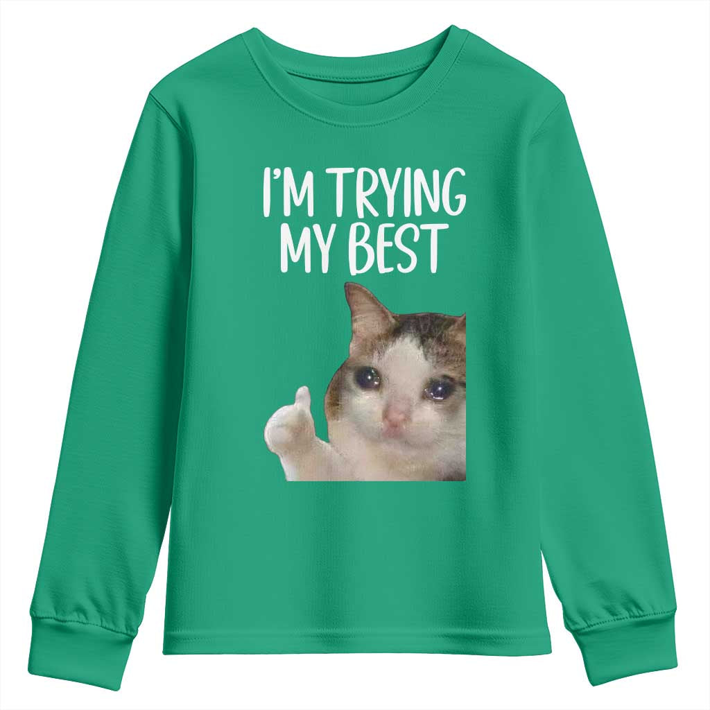 Im Trying My Best Funny Crying Cat Meme Youth Sweatshirt - Wonder Print Shop