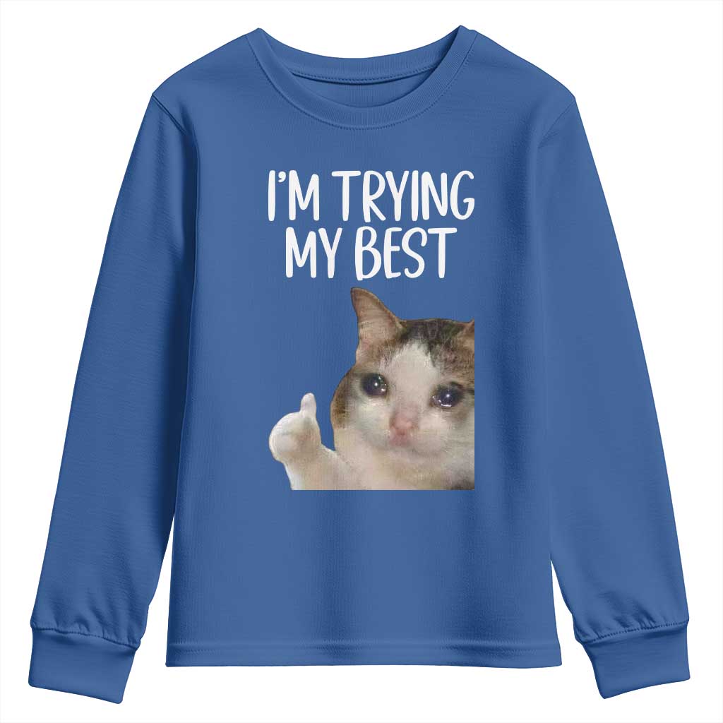 Im Trying My Best Funny Crying Cat Meme Youth Sweatshirt - Wonder Print Shop