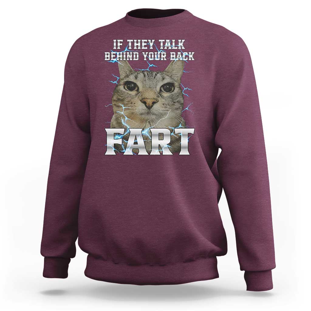 Cat Meme If They Talk Behind Your Back Fart Sweatshirt Funny Oddly Specific