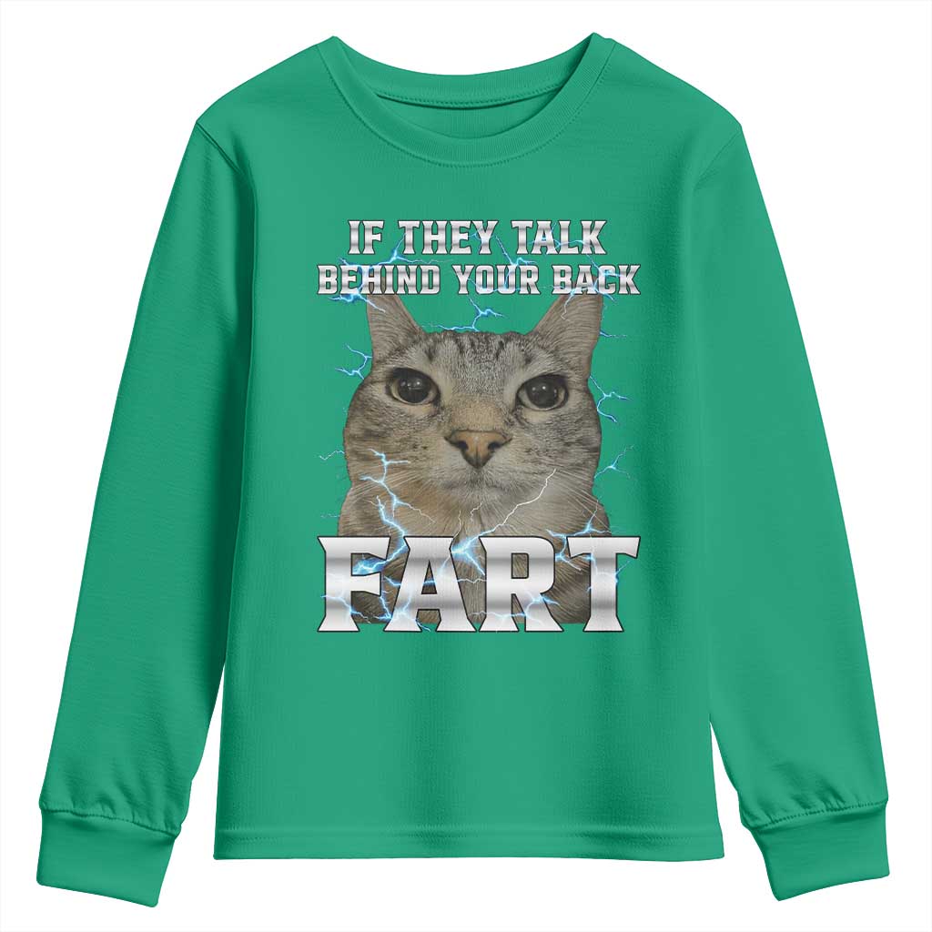Cat Meme If They Talk Behind Your Back Fart Youth Sweatshirt Funny Oddly Specific