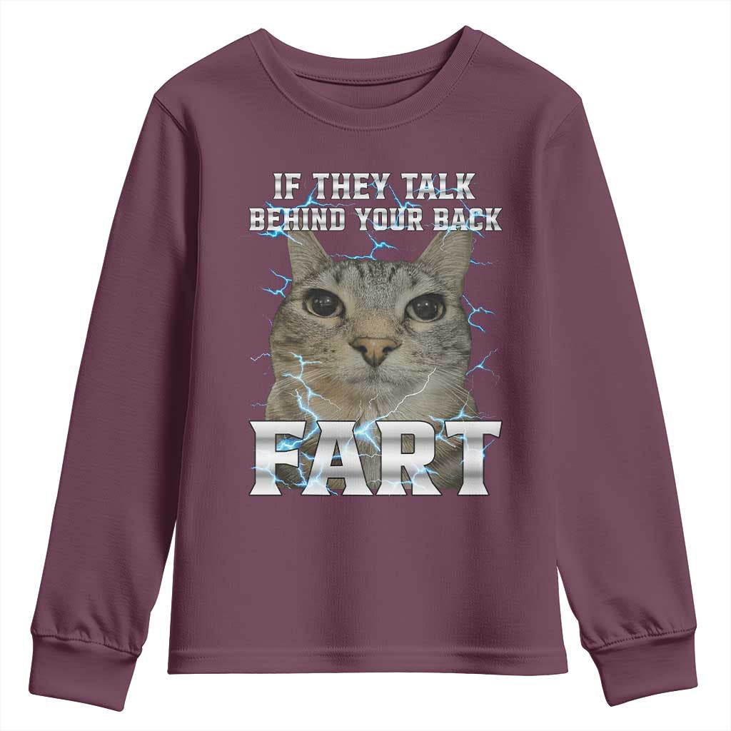 Cat Meme If They Talk Behind Your Back Fart Youth Sweatshirt Funny Oddly Specific