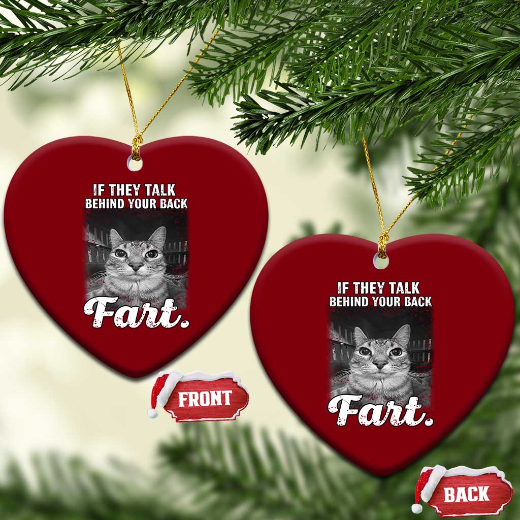 If They Talk Behind Your Back Fart Ceramic Ornament Cat Meme Funny Oddly Specific