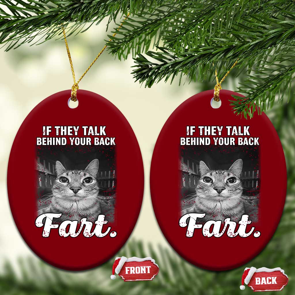 If They Talk Behind Your Back Fart Ceramic Ornament Cat Meme Funny Oddly Specific