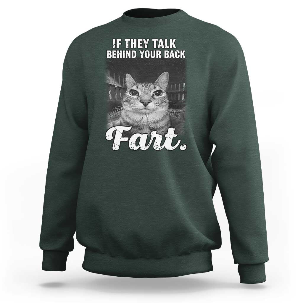 If They Talk Behind Your Back Fart Sweatshirt Cat Meme Funny Oddly Specific