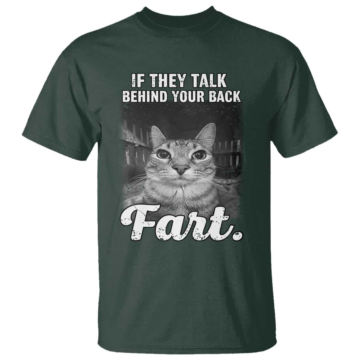 If They Talk Behind Your Back Fart T Shirt Cat Meme Funny Oddly Specific