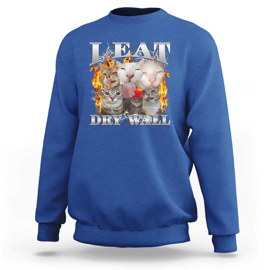 Funny Cat Meme Bootleg Graphic Sweatshirt I Eat Drywall Funny Weird Cursed Internet Memes