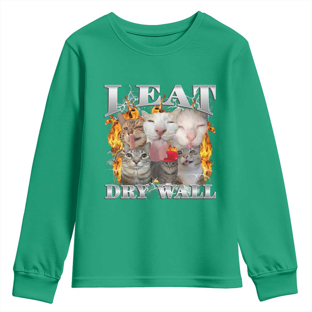 Funny Cat Meme Bootleg Graphic Youth Sweatshirt I Eat Drywall Funny Weird Cursed Internet Memes