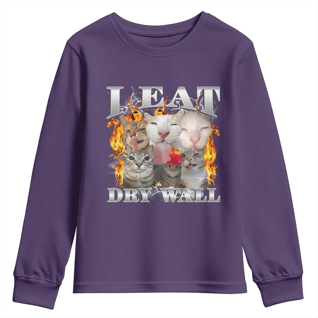Funny Cat Meme Bootleg Graphic Youth Sweatshirt I Eat Drywall Funny Weird Cursed Internet Memes